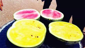 娱乐区吃大瓜,明星隐私曝光，精彩瞬间回顾